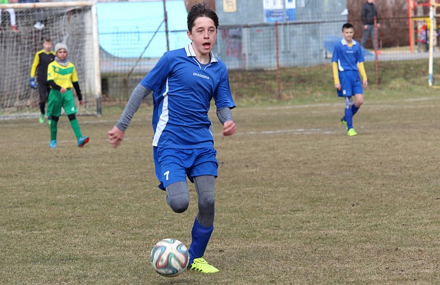 艺的平台 艺的平台