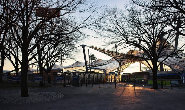 丁汉森林的 丁汉森林的