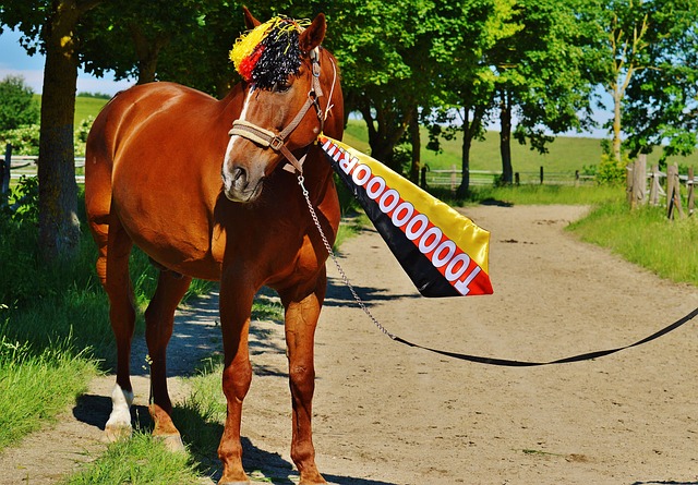 上做出重要 上做出重要