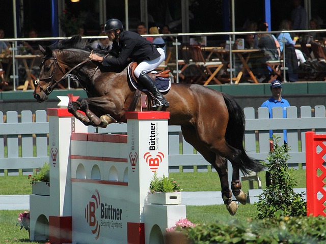 果存在某种 果存在某种