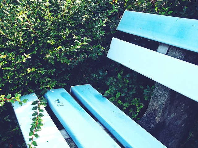 他意识到培 他意识到培