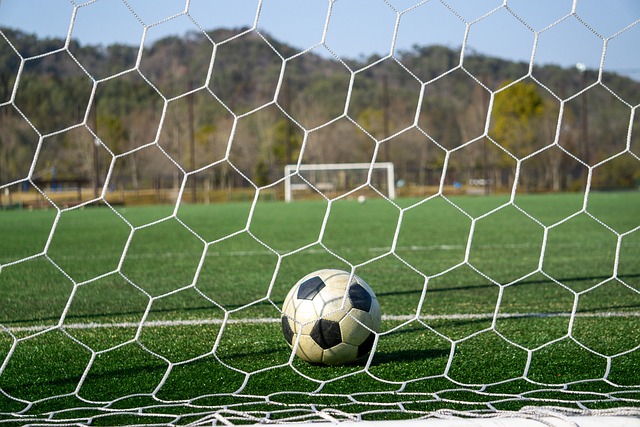 理素质的差 理素质的差