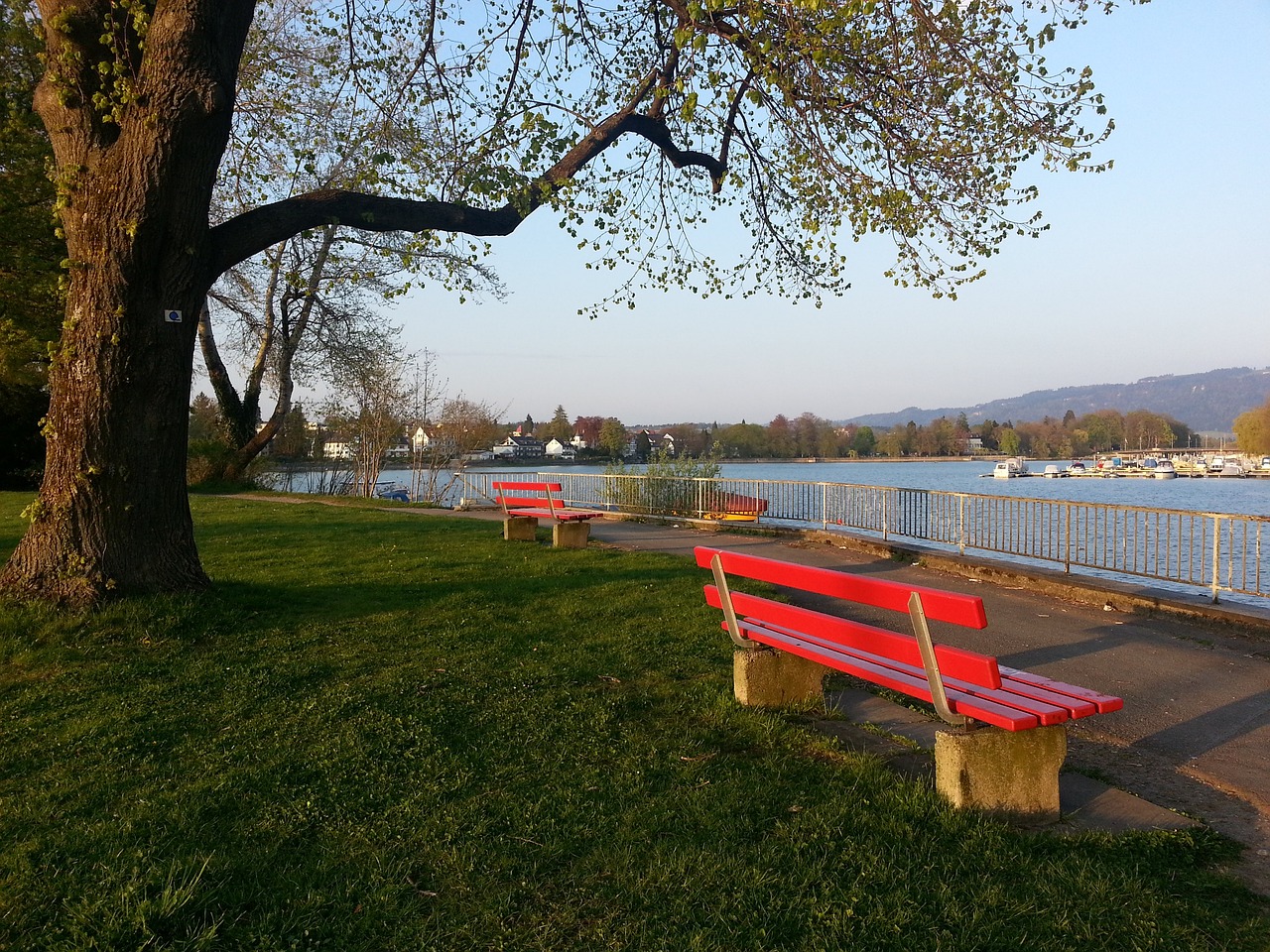 竞争中成长 竞争中成长