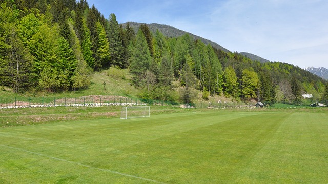 与效果