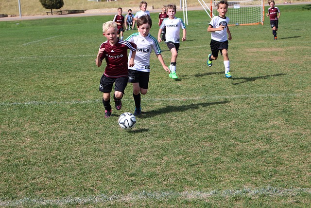 阵容的稳定
